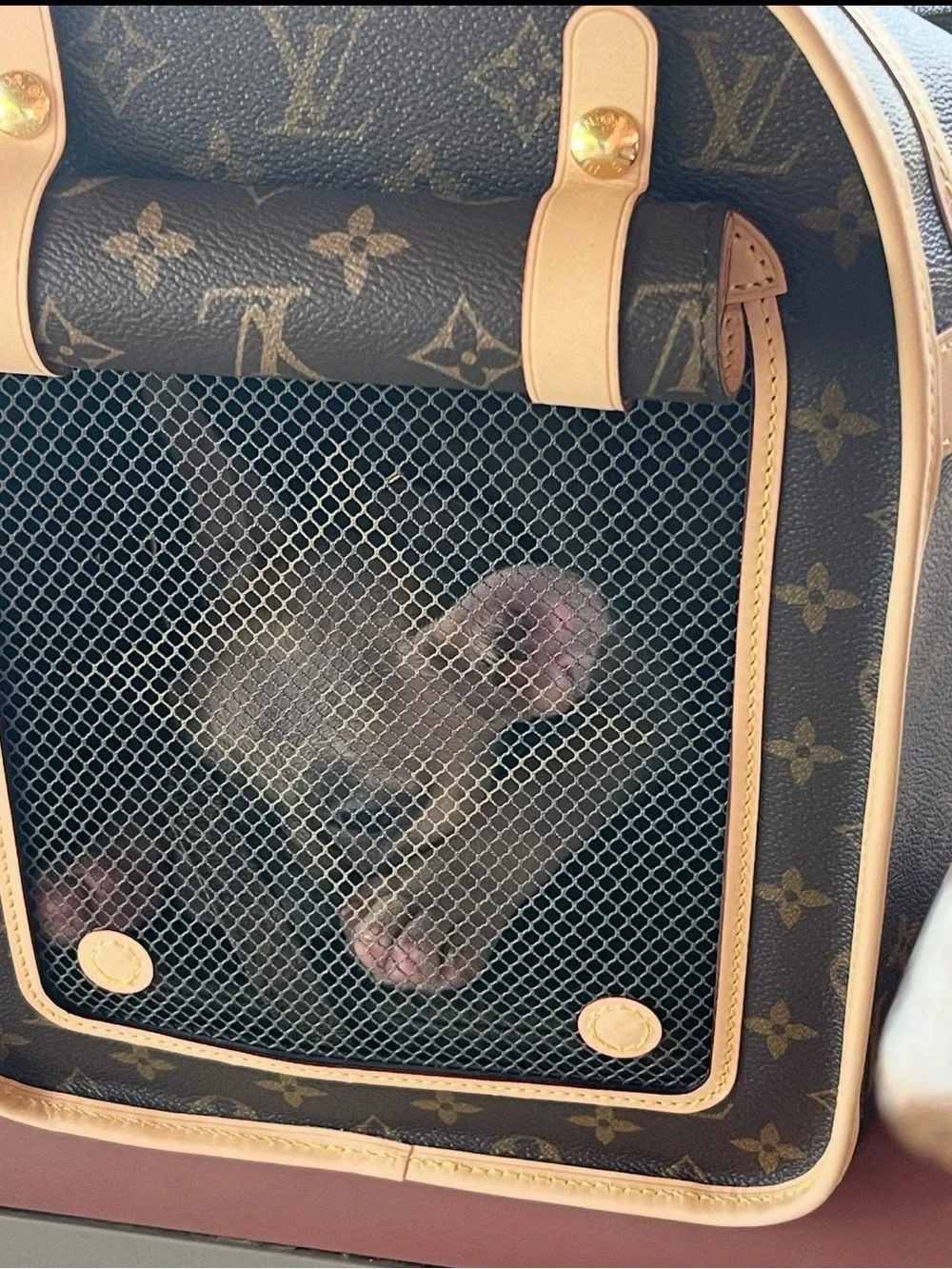 Louis Vuitton Brown Monogram Canvas Pet Carrier with Natural Trim